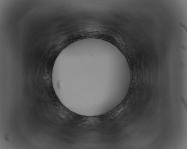 X0000096661109200802050950