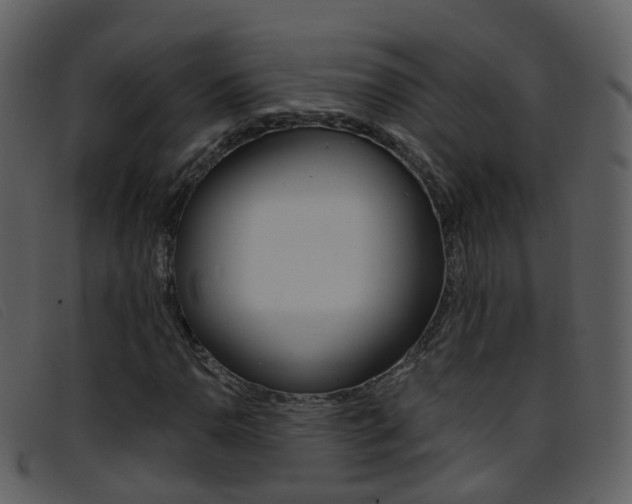 X0000096661110200802050950