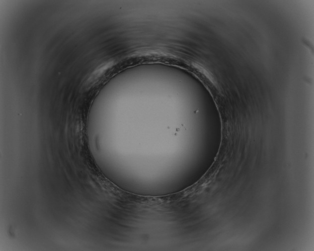 X0000096661111200802050950