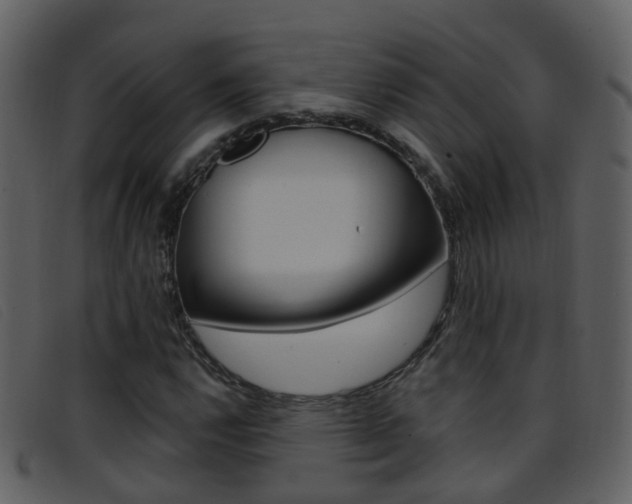 X0000096661112200802050950