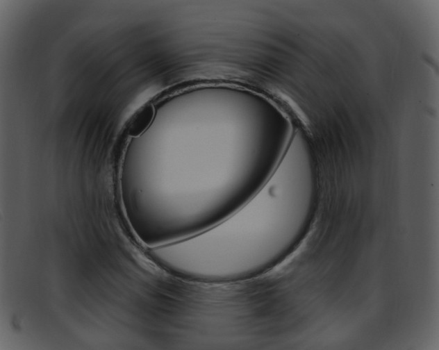 X0000096661114200802050950