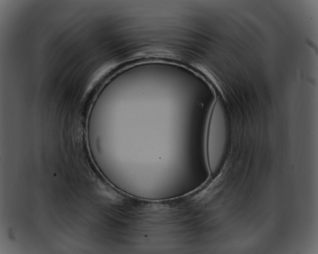 X0000096661115200802050950