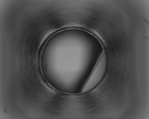X0000096661116200802050950