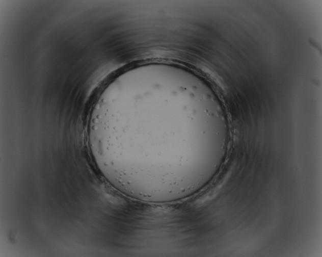 X0000096661117200802050950