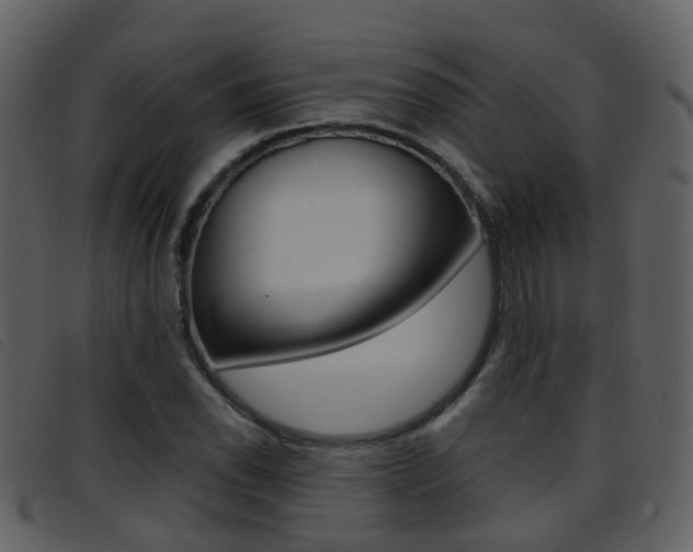 X0000096661118200802050950