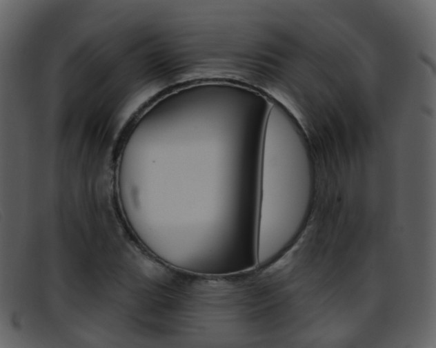 X0000096661119200802050950