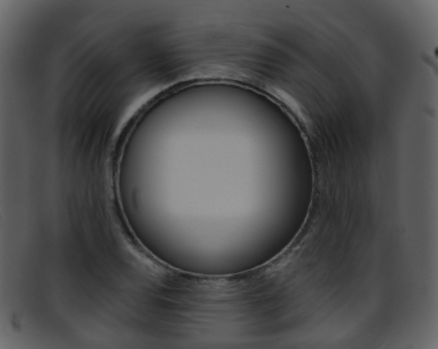 X0000096661120200802050950