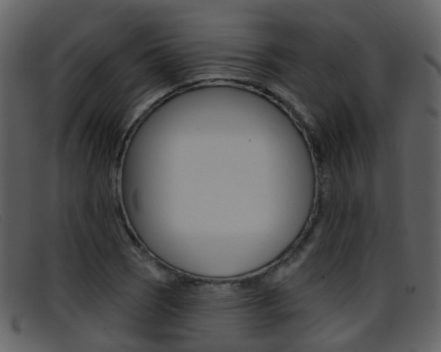 X0000096661121200802050950