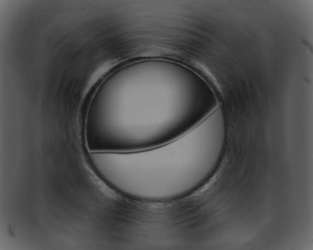 X0000096661122200802050950