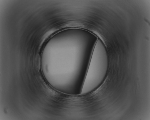 X0000096661123200802050950