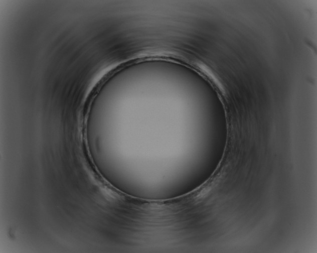 X0000096661124200802050950