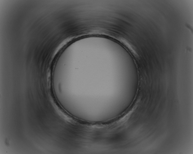 X0000096661126200802050950