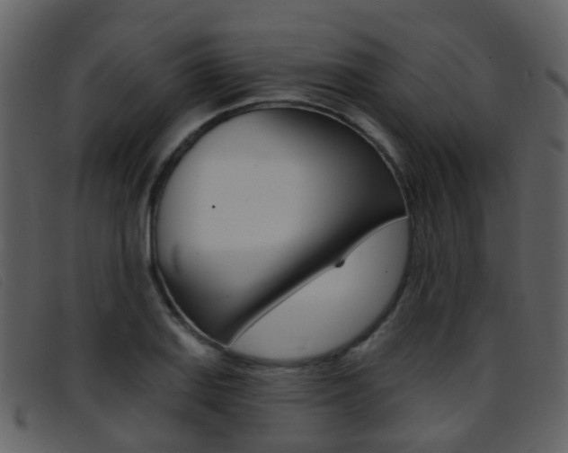 X0000096661127200802050950