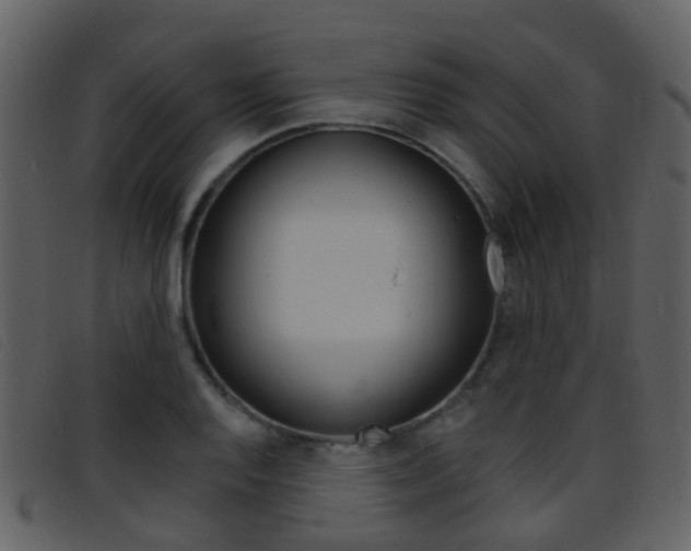 X0000096661128200802050950