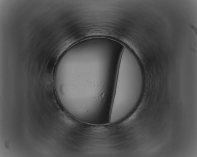 X0000096661129200802050950
