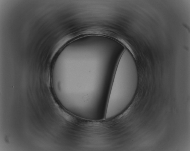 X0000096661131200802050950