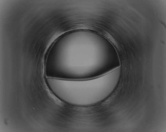 X0000096661132200802050950