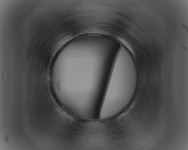 X0000096661133200802050950