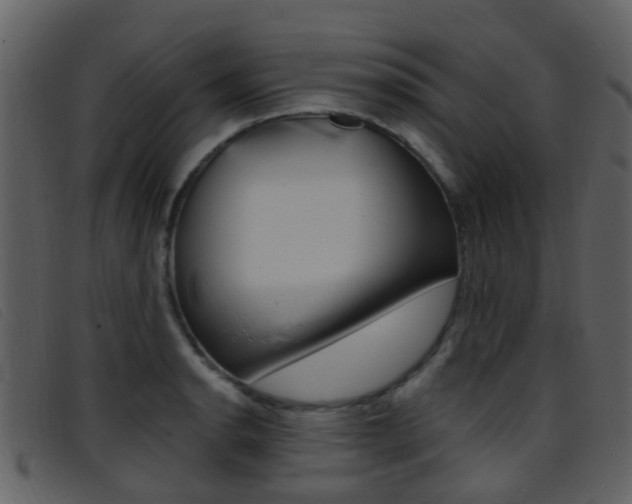 X0000096661134200802050950
