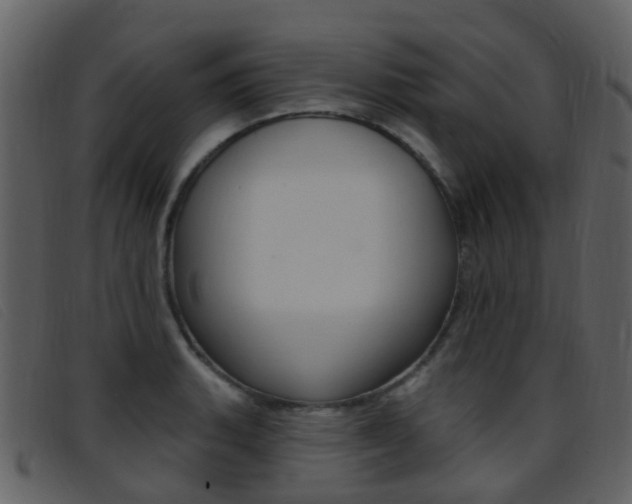 X0000096661135200802050950