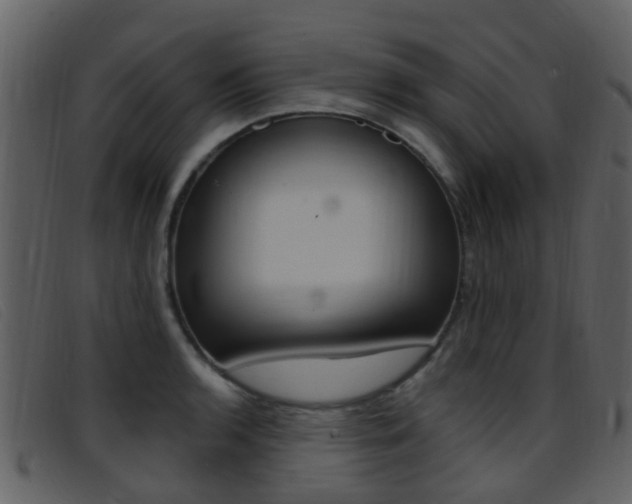 X0000096661136200802050950