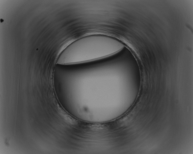 X0000096661137200802050950