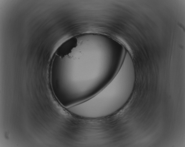 X0000096661138200802050950