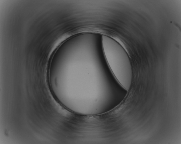 X0000096661139200802050950