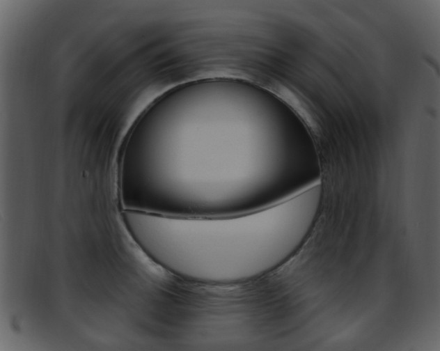 X0000096661140200802050950