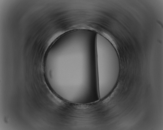X0000096661141200802050950