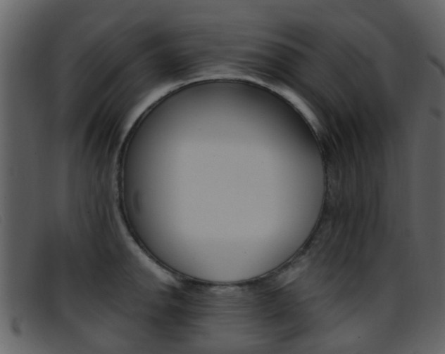 X0000096661142200802050950
