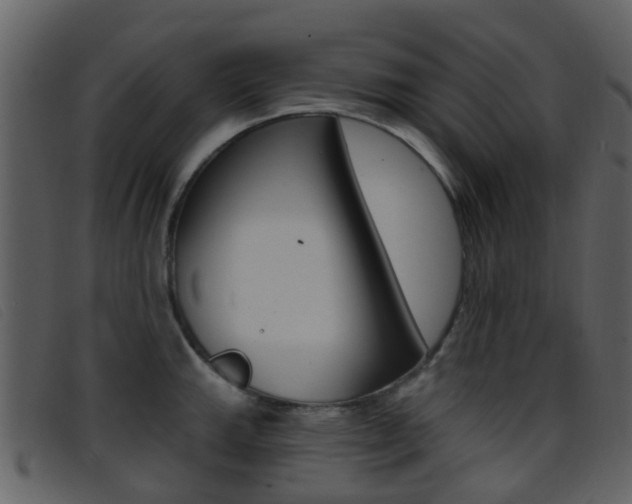X0000096661143200802050950