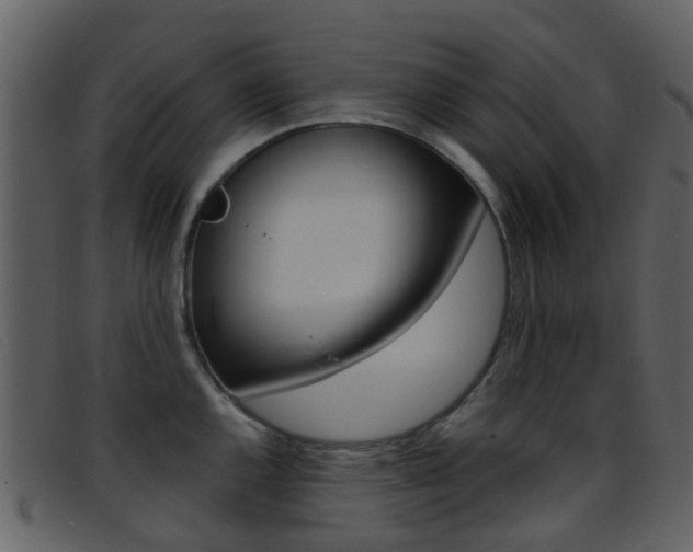 X0000096661144200802050950