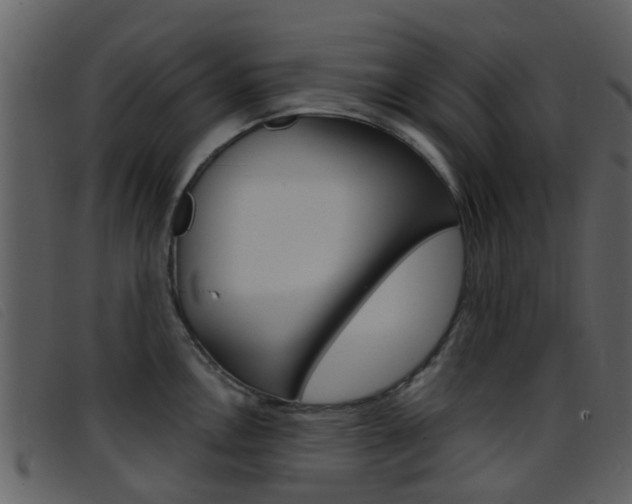 X0000096661146200802050951