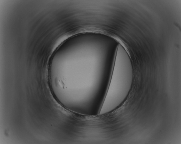 X0000096661147200802050951