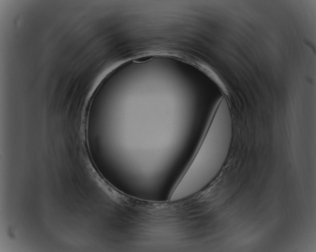 X0000096661148200802050951
