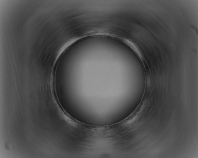 X0000096661149200802050951