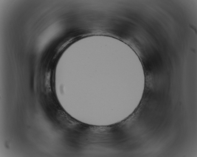 X0000096661150200802050951
