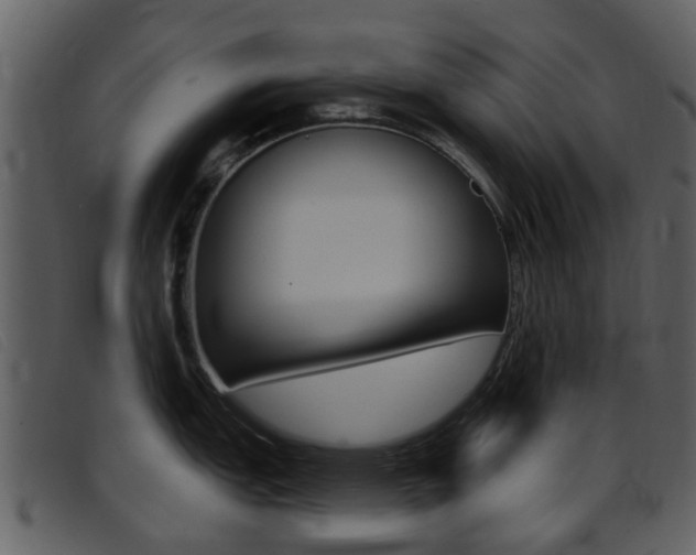 X0000096661151200802050951