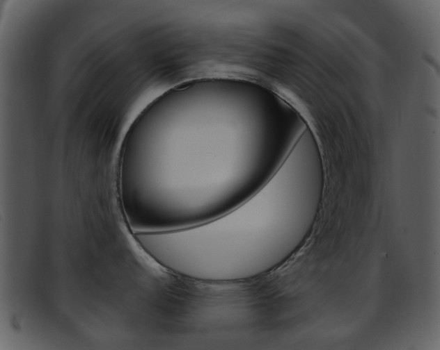 X0000096661152200802050951
