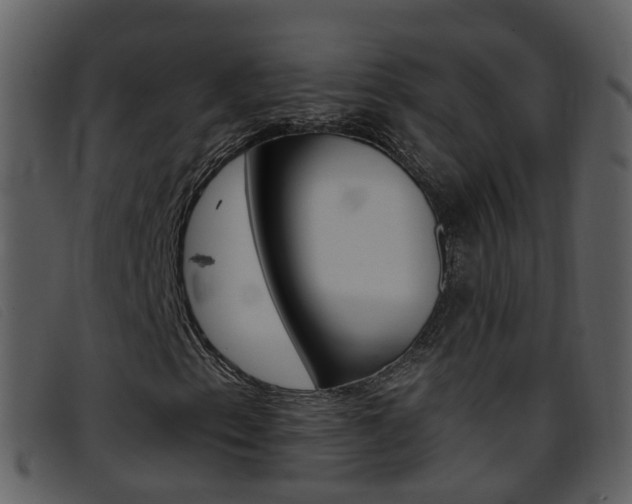 X0000096661153200802050950
