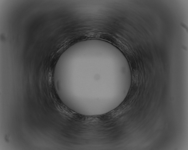 X0000096661154200802050950