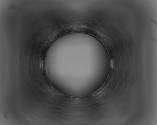 X0000096661155200802050950