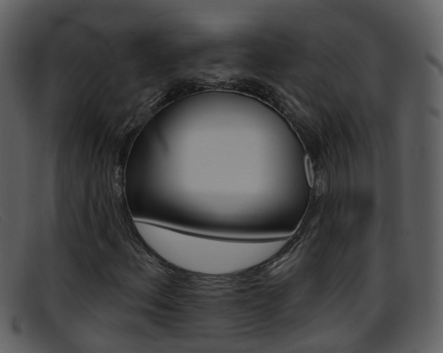 X0000096661156200802050950