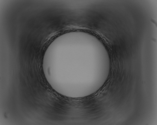 X0000096661157200802050950