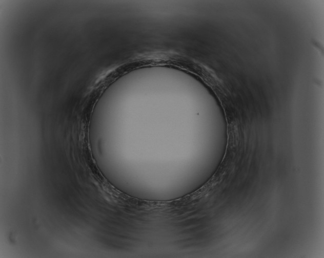 X0000096661158200802050950