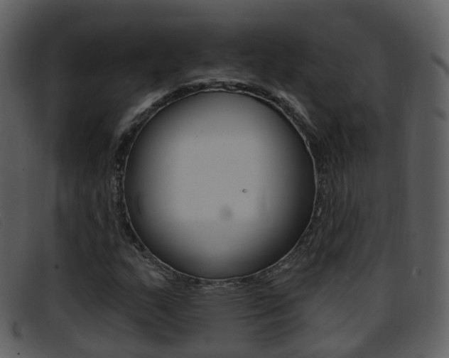 X0000096661159200802050950