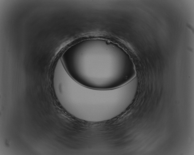 X0000096661160200802050950