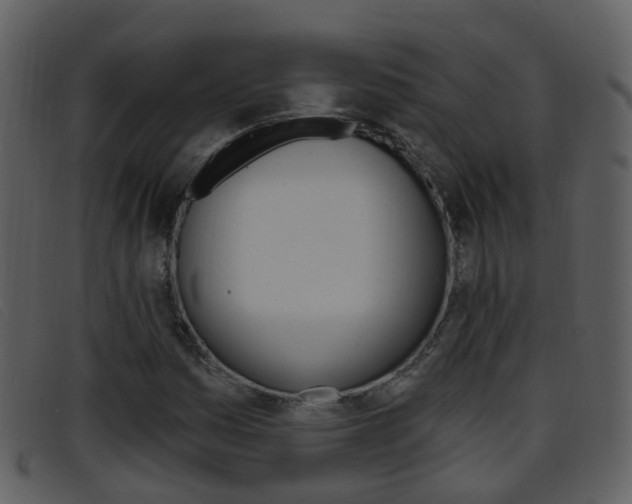 X0000096661161200802050950