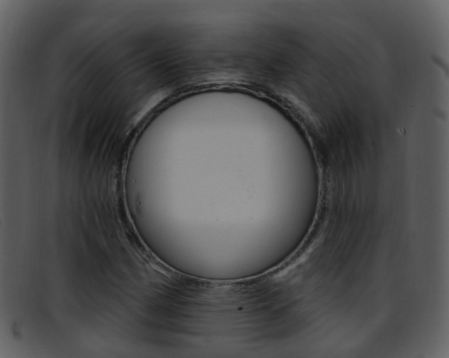 X0000096661162200802050950